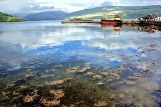 Inverary-Puffer
