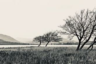 loch-tulla-trees.tif-@-A3